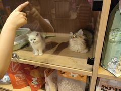 -天河领展广场