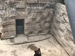 -哈尔滨北方森林动物园