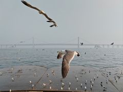 -星海广场