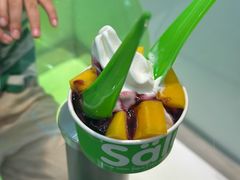 -Salud撒露欧洲冻酸奶(蓝色港湾店)