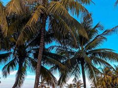 -海南清水湾莱佛士酒店