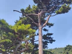 -妙峰山风景名胜区