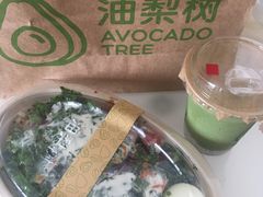 -油梨树AVOCADO TREE(嘉里中心店)