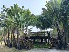 -深圳国际园林花卉博览园