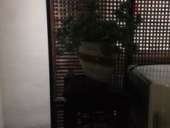 -香秀空间科技抗衰·美容中心
