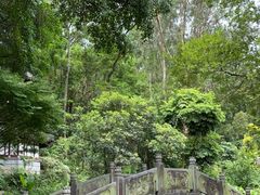 -深圳国际园林花卉博览园