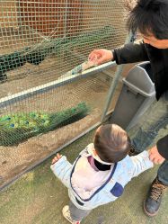 -萌宠亲子动物乐园(槐房万达店)