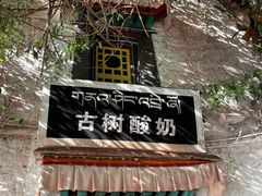 -古树酸奶(八廓南街店)