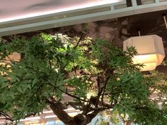 -绿茶餐厅(广州天河城店)