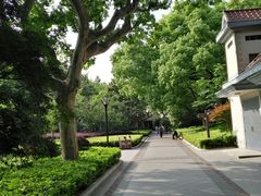 -徐家汇源景区-衡山公园