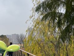 -江滩湿地公园