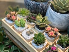 -双季花艺园艺市场(浦东店)
