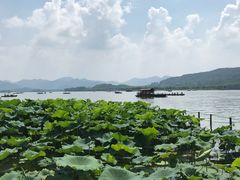 -湖畔居茶楼(湖滨店)
