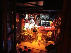 -胡桃里音乐酒馆(环亚凯瑟琳广场店)