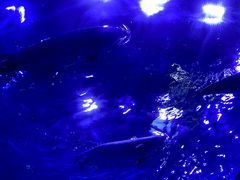 -上海海昌海洋公园-冰山北极馆