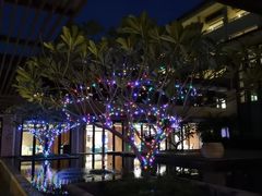 -海陵岛保利皇冠假日酒店·御公馆中餐厅 CANAL LNUA