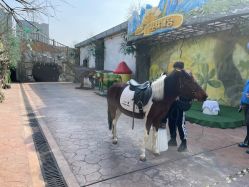 -宝燕乐园(闵行旗舰店)