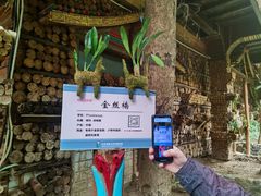 -呀路古热带植物园