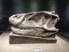 恐龙博物馆-自贡恐龙博物馆