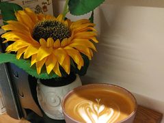 -FUN COFFEE