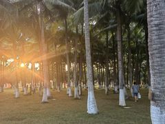 -万绿园
