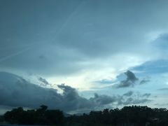 -鹏记热干面生烫牛肉(玫瑰苑店)