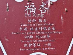 -苏州文庙(姑苏区)