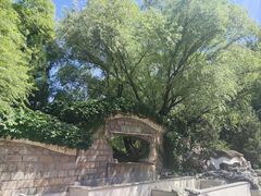 -团结湖公园