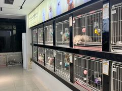 -翊宠yipet猫狗购宠庄园犬舍•猫舍