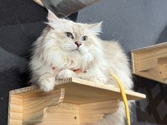 -厦门诚毅自然探索馆
