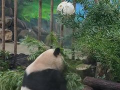-杭州野生动物世界