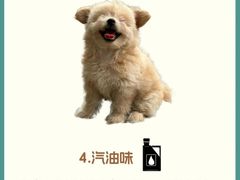 -守诺宠物医院·眼科· 特色牙科·异宠专科(虹口店)