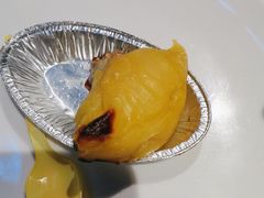 -曼格活海鲜·牛排自助(光明蓝鲸店)