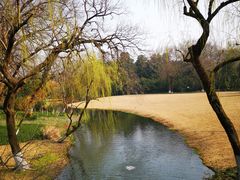 -柳浪闻莺公园