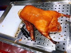 -佳兰雅序融合菜(高新店)