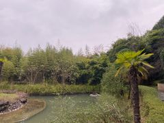 -咸宁万豪温泉谷度假区