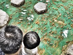 -上海大自然野生昆虫馆(东方明珠·爬宠昆虫探索中心)