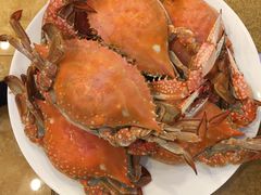 -北塘海鲜·天津菜(大光明桥旗舰店)