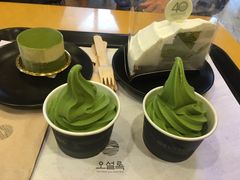 -雪绿茶博物馆