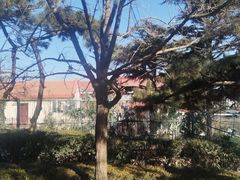 -观象山公园
