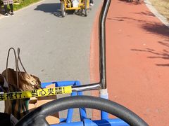 -上海长兴岛郊野公园