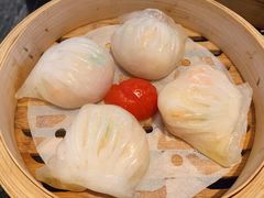 -新兴·金羊座·粤菜点心(乐峰店)