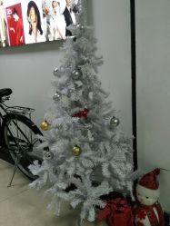 -克拉女神写真馆·匠心定制