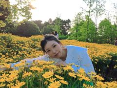 -铁山坪森林公园