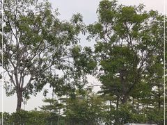 -深圳湾公园(南山区)