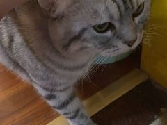 -H立方实景剧情密室(天河旗舰店)