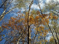 -叠溪松坪沟景区