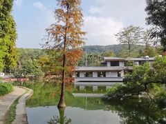 -广州市白云山风景名胜区