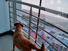 -南戴河旅游度假区