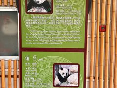 -南宁市动物园